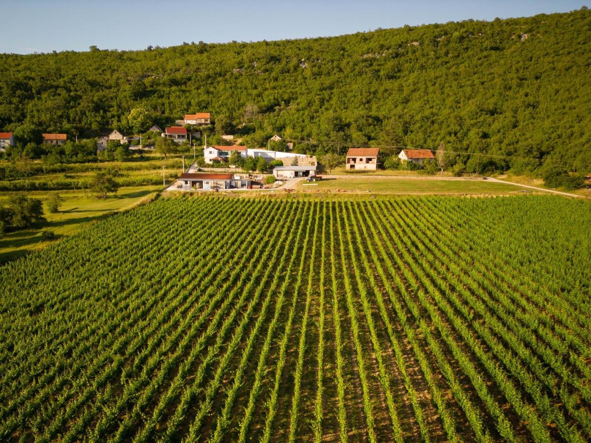 Krolo Villa&Wine Trilj Екстериор снимка